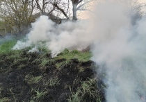 В течение суток в субботу, 15 апреля 2023 года, пожарные в Калининградской области более двадцати раз выезжали на место возгорания сухой травы