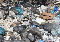 В Ленобласти возбудили еще одно уголовное дело по факту загрязнения окружающей среды в результате горения бытовых отходов. Потушить свалку не могут с середины февраля.