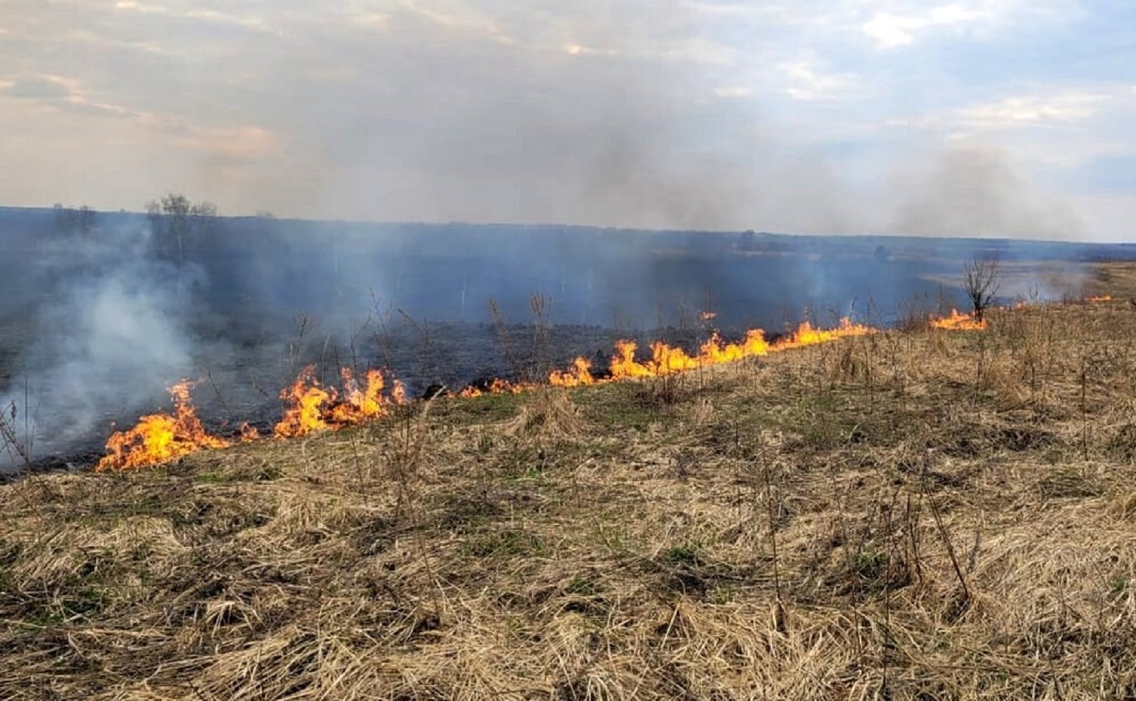 В Костромской области ликвидировали масштабный лесной пожар. Как это было...