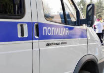 Мужчина из Белгородской области был задержан томской полицией за мошенничество, связанное с продажей несуществующей видеокарты местному жителю