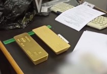ЦОС ФСБ сообщил, что на контроле в аэропорту Домодедово была пресечена контрабанда золота на 126 миллионов рублей