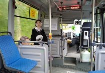 В субботу, 27 мая, в связи с проведением арт-фестиваля «Счастливый Хабаровск» будет скорректирована схема движения общественного транспорта. Об этом сообщили в пресс-службе мэрии краевой столицы.