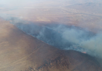 С 16 мая в Приамурье сняли режим чрезвычайной ситуации в лесах регионального характера. Сделано это было из-за стабилизации пожароопасной обстановки. При этом особый противопожарный режим (ОПР) продолжает действовать