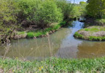 В Хабаровском крае до 2025 года расчистят русла малых рек в рамках федерального проекта защиты вод от негативного воздействия. Работа организована минприроды края, отметили в правительстве региона.
