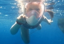 Оказывается, снять на видео чудеса подводного мира не так уж и сложно, надо просто соблюдать несколько простых правил
