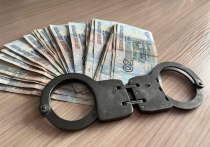 Центральный районный суд вынес приговор 31-летней хабаровчанке. Ее обвинили в мошенничестве в крупном и особо крупном размере, отметили в пресс-службе прокуратуры Хабаровского края.
