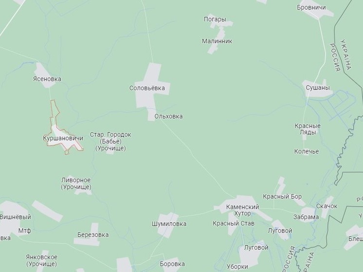 На территории Брянской области ВСУ безрезультатно потеряли за сутки 10 БПЛА