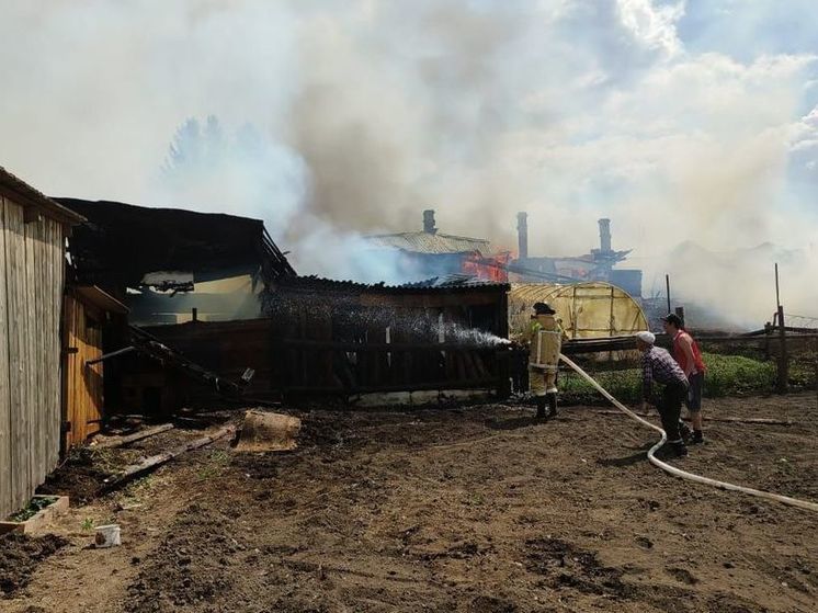Жилые дома и надворные постройки горели 2 июня в городе Асино под Томском
