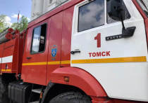 Жители Томска находятся под угрозой штрафов до 20 тысяч рублей за разведение огня на своих дачных участках