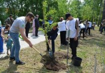 В пятницу, 9 июня в Комсомольске-на-Амуре города 10 семей высадили 10 деревьев в рамках краевой акции «Подари ребёнку дерево»