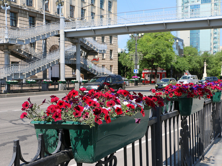 Миллион цветов украсил Хабаровск летом 2023 года