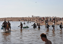 В Петербурге есть 24 пляжа, однако искупаться горожане могут только на двух. Очередная проверка Роспотребнадзора показала, что остальные просто не соответствуют санитарным нормам.