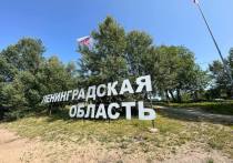 В Ленинградской области участок ВСМ на территории Лисинского заказника построят в формате виадука. Об этом рассказал губернатор 47-го региона Александр Дрозденко.