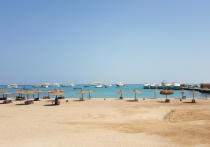 Только 20 из более чем трехсот курортных отелей Египта оснащены защитными сетками против акул в купальных зонах