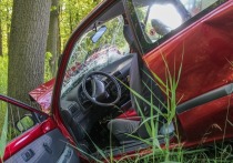 Водитель и пассажир иномарки погибли, съехав в кювет в Ломоносовском районе. Об этом сообщил источник в правоохранительных органах.