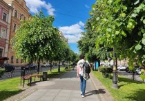 В Петербурге держится оптимальная летняя погода: 25 градусов, солнце, редкие дожди. Синоптик Александр Шувалов рассказал «МК в Питере», чего ждать от начала августа.