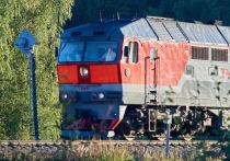 Вечером 5 августа в районе станции Озерки грузовой поезд насмерть сбил мужчину