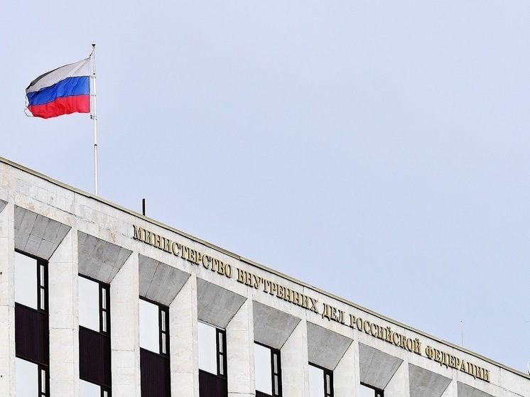 МВД РФ попросило доступ к гаджетам граждан без санкции суда