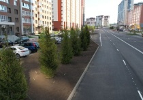 Власти Барнаула ищут подрядчика на строительство дороги на улице 65 лет Победы