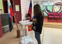 Выборы в Белгородской области прошли без нарушений