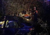 В деревне Горелово городского округа Чехов автомобилист не справился с управлением и машина улетела в кювет