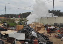 В городе Голицыно городского округа Одинцово инспекторы пресекли незаконное сжигание отходов