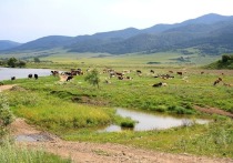 Турпоток в Алтайском крае может вырасти на 5% в 2023 году