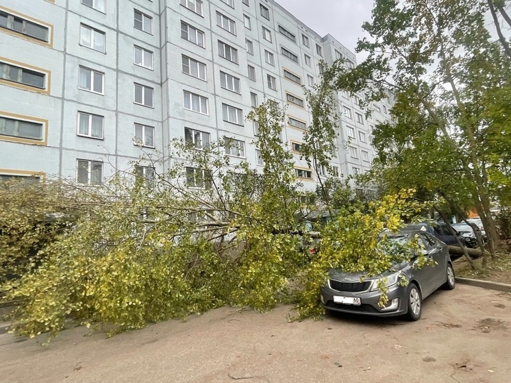 «Ветерок колышет арматуру»: какой урон нанёс шторм Псковской области