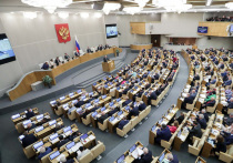 В самом конце заседания депутаты Госдумы без обсуждения поддержали протокольное поручение, подготовленное депутатами из КПРФ, «ЕР», «СР» и ЛДПР