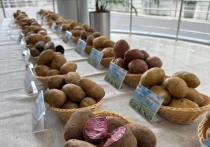 Шесть сортов картофеля из Подмосковья вошли в число лучших в России