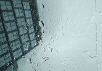 Погода в Петербурге в четверг будет сформирована под влиянием периферии циклона, выходящего в центр европейской части России. Ожидаются дожди с мокрым снегом, холода и облачность, рассказал синоптик Михаил Леус в своем telegram-канале.