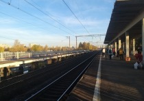 Для жителей Петербурга и Петрозаводска начнет курсировать круговой поезд. Пассажиры смогут отправиться по тому или иному направлению с 15 декабря, сообщили в пресс-службе ОЖД.