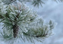 Сегодня, 15 декабря, по Республике Бурятия сохранится аномально-холодная погода