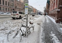 Пользователям зоны платной парковки рассказали, на каких улицах 21 декабря будут убирать снег. Полный список адресов опубликовали в пресс-службе ГКУ «Городской центр управления парковками Санкт-Петербурга».