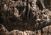 Еще одну удивительную находку обнаружили археологи на территории Республики Алтай. В Денисовой пещере нашли диадему, возраст которой составляет около 40 тысяч лет. 