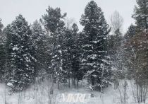 В Забайкалье 30 декабря ожидается погода без осадков