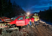 Вечером 29 декабря на Казанском тракте в Марий Эл при столкновении автомашин пострадали водитель и пассажир.