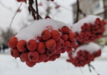 Температура воздуха в Омске в новогоднюю ночь может опуститься до -24 градусов
