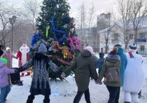 Новогодние народные гуляния прошли в парке имени Матросова в Борзе при поддержке муниципальной Общественной палаты (МОП) района