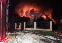 В Подмосковье пожарные 12 часов тушили огонь в жилом доме