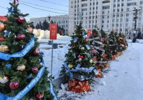 В Хабаровске, по данным синоптиков, 6 января будет прохладно и снежно