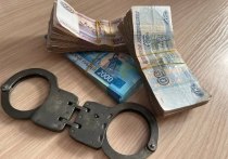 В полицию по Амурскому району обратилась 56-летняя пенсионерка с заявлением – ее обманули мошенники