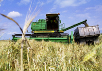 В недружественных странах испугались экспорта пшеницы из России
