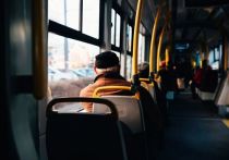 В Хабаровске водитель автобуса избил недовольного пассажира