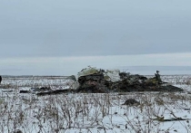 Следствие идентифицировало останки жертв падения военно-транспортного самолета Ил-76 в Белгородской области