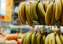 Дипломатические трения между Эквадором и Россией, по-видимому, усилились в минувшие выходные после того, как Москва решила частично запретить импорт бананов из латиноамериканской страны