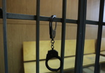 Мужчину из Нижегородской области, который избивал взятую под опеку девочку и отрезал ей фалангу пальца, приговорили к 4,5 годам колонии общего режима
