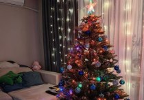 В Хабаровске ежегодно проводят акцию «Вторая жизнь новогодней елке»