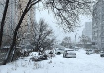 В Хабаровске 8 февраля ожидается небольшой снег