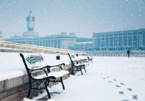 Пришедший в Москву циклон "Ольга" может побить рекорд по снегу